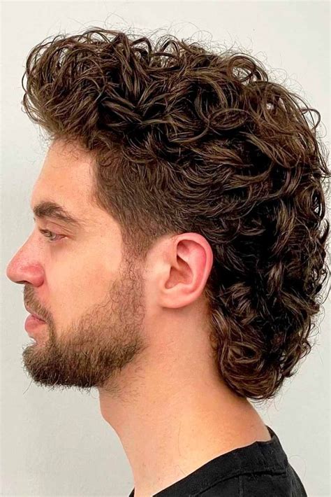 curly hair hairstyles|curly hair hairstyles for men.